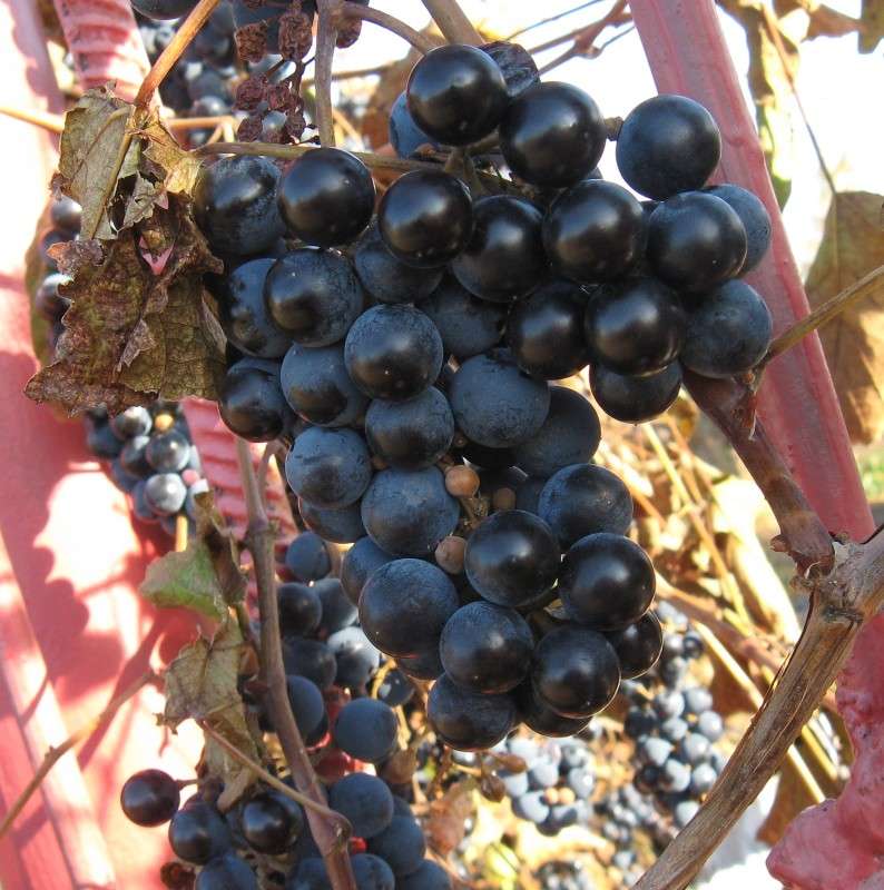 ������� ����...5 ����� Natali  ��������� �� PhotoGeek.ru #������ ��� ������� #����� ��������������