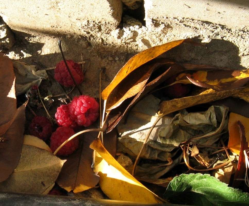 ������� ����...2 ����� Natali  ��������� �� PhotoGeek.ru #������ ��� ������� #����� ��������������