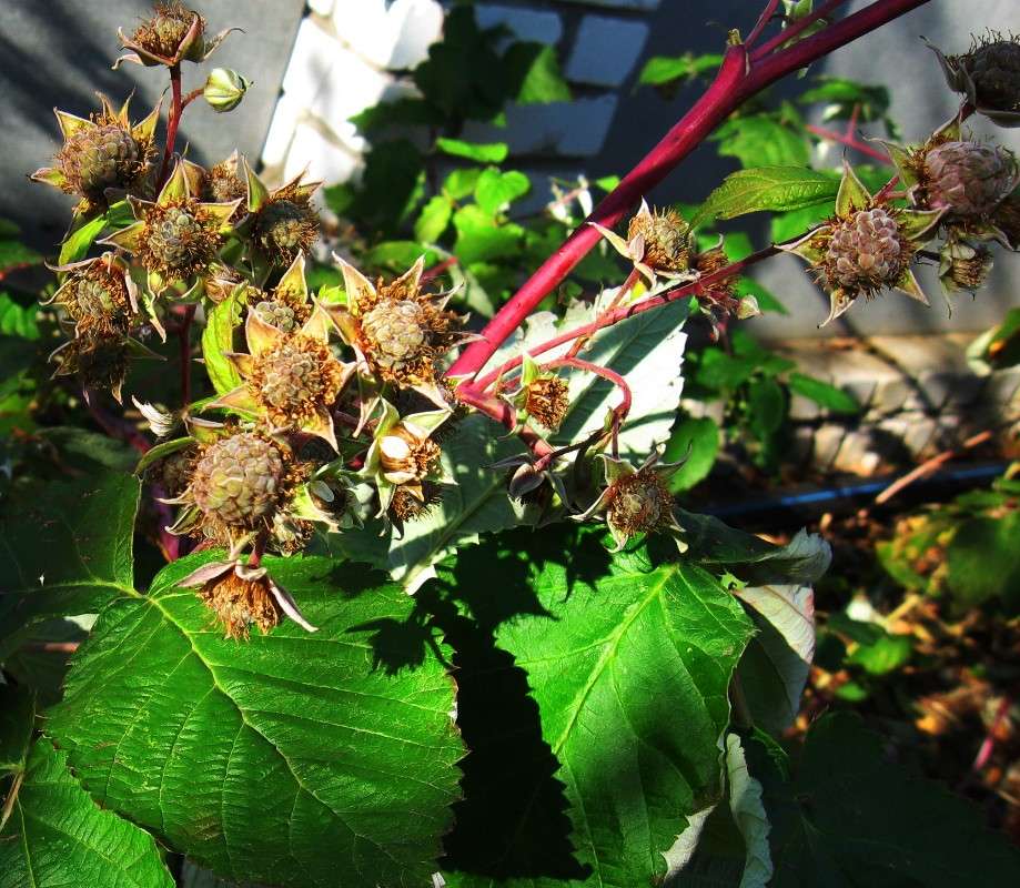 ������� ����...3 ����� Natali  ��������� �� PhotoGeek.ru #������ ��� ������� #����� ��������������