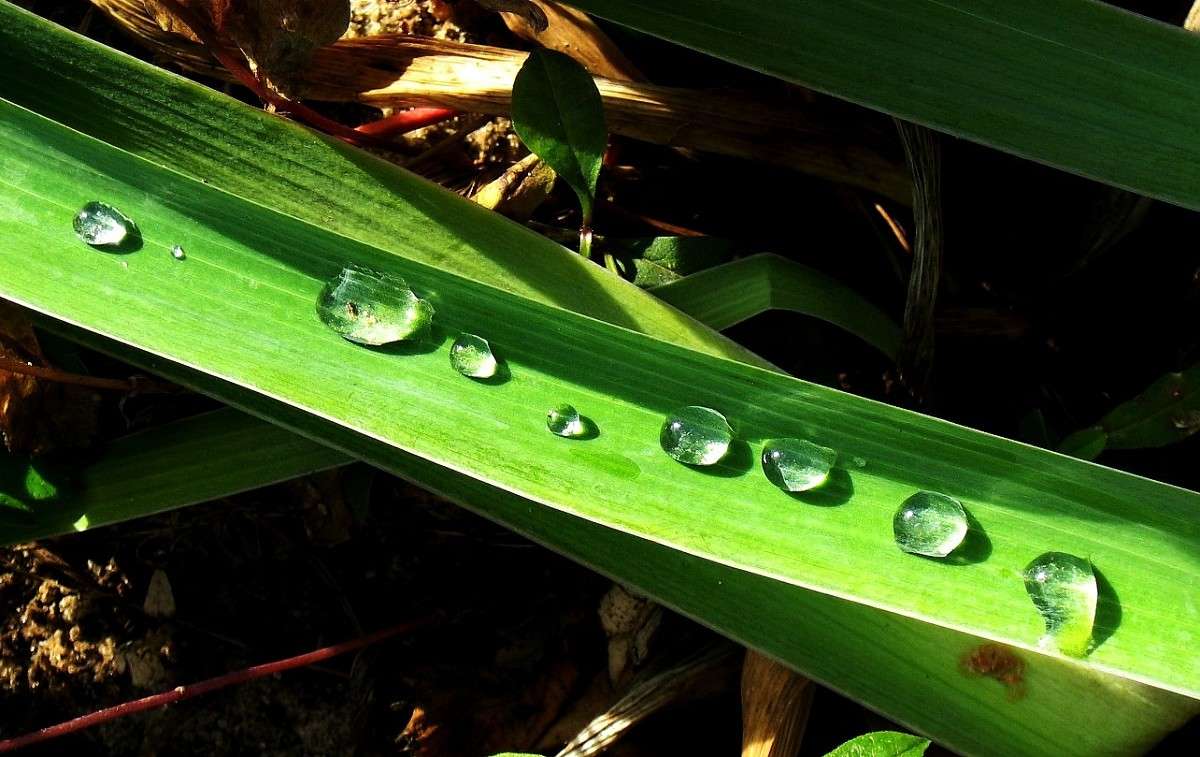 ������� ����...4 ����� Natali  ��������� �� PhotoGeek.ru #������ ��� ������� #����� ��������������