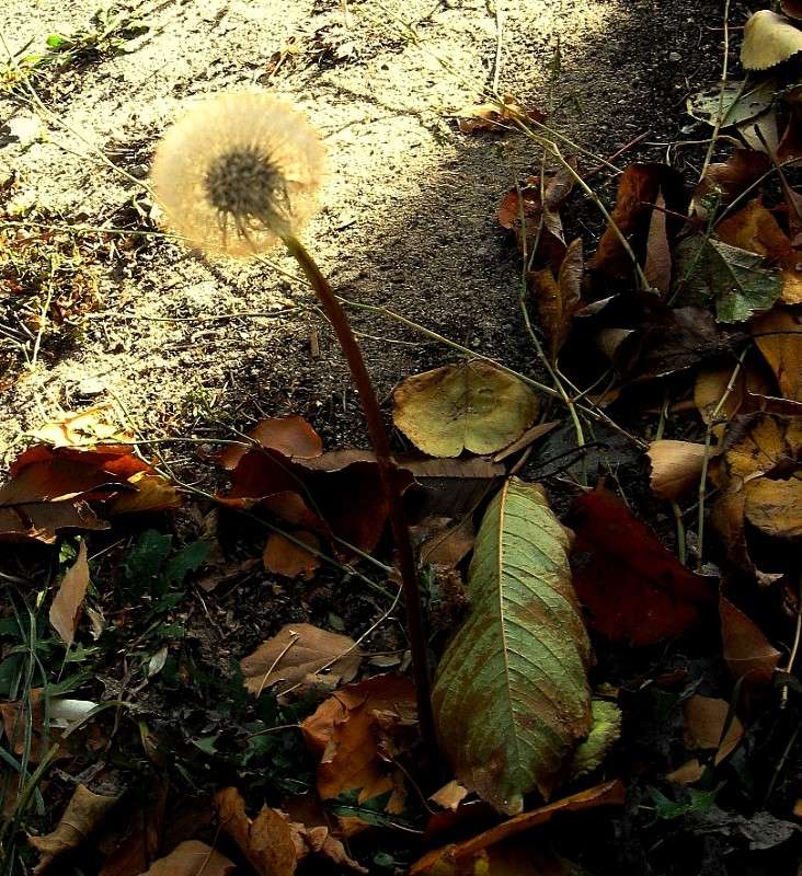 ��� �� ������� ?...) ����� Natali  ��������� �� PhotoGeek.ru #������ ��� ������� #����� ��������������