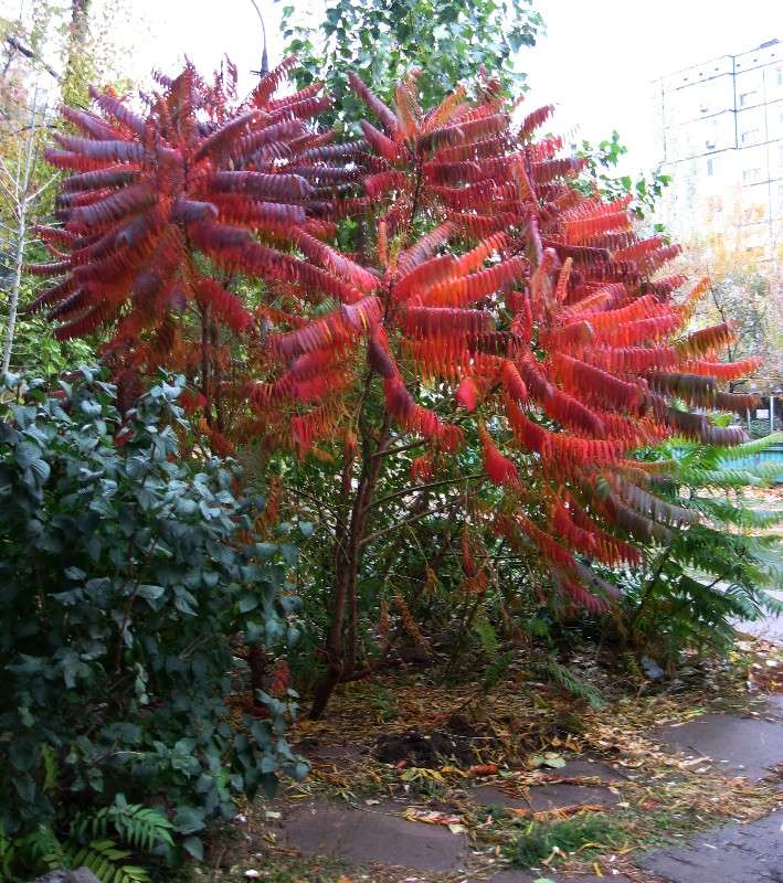 ����� � ������ ����� Natali  ��������� �� PhotoGeek.ru #������ ��� ������� #����� ��������������