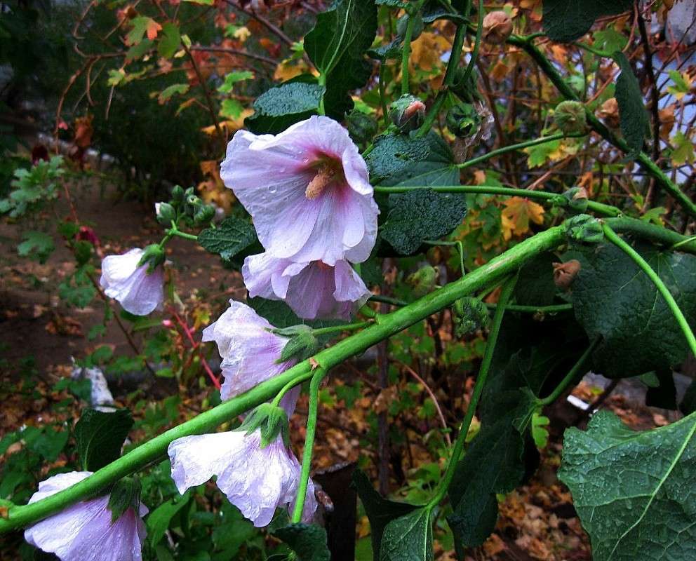 ����� ����� ����� Natali  ��������� �� PhotoGeek.ru #������ ��� ������� #����� ��������������