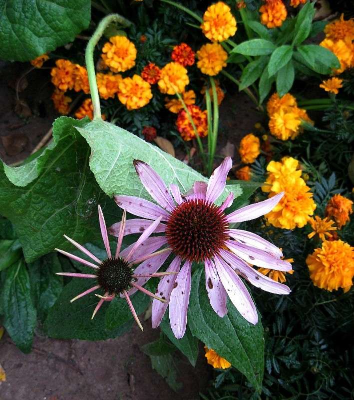 ������� ���������� ...))) ����� Natali  ��������� �� PhotoGeek.ru #������ ��� ������� #����� ��������������