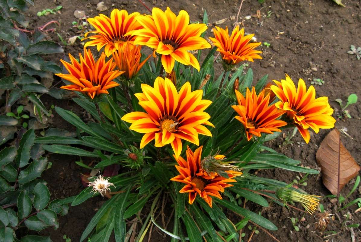 ������� �������...) ����� Natali  ��������� �� PhotoGeek.ru #������ ��� ������� #����� ��������������