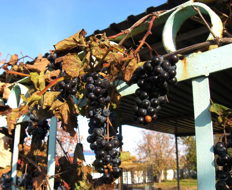 ... ����� Natali  ��������� �� PhotoGeek.ru #������ ��� ������� #����� ��������������