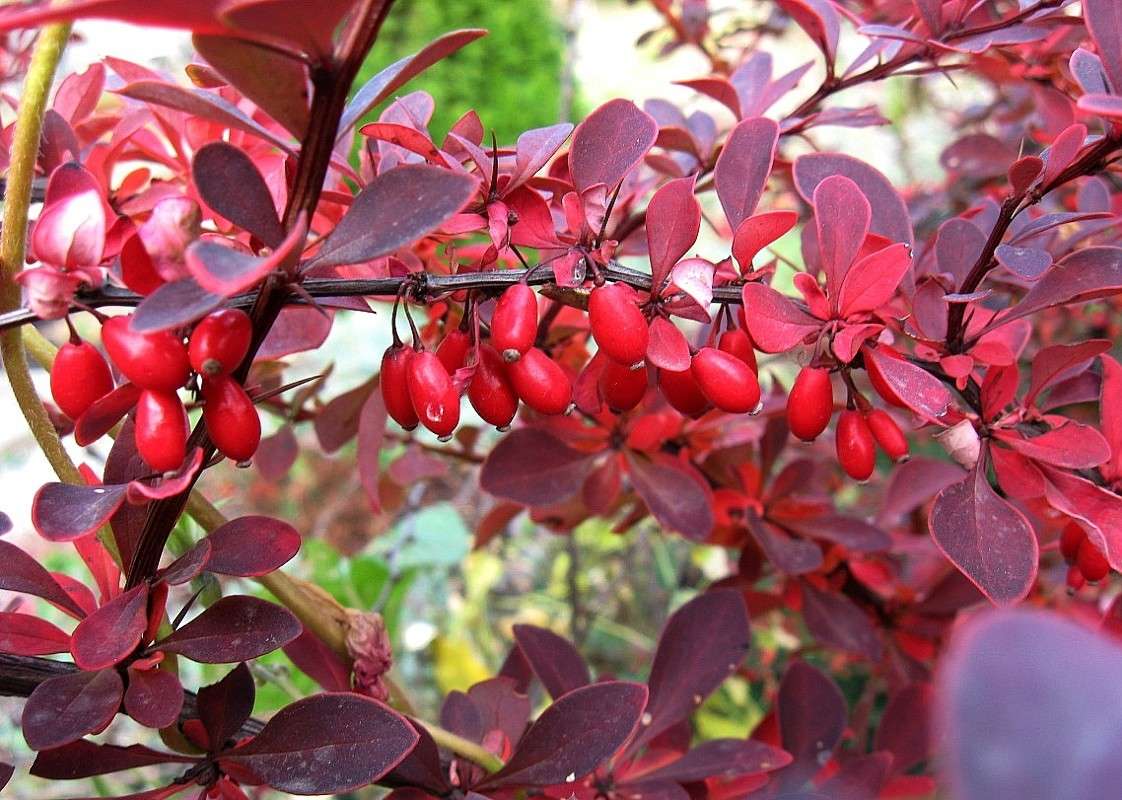 ������� � ������� ����� Natali  ��������� �� PhotoGeek.ru #������ ��� ������� #����� ��������������