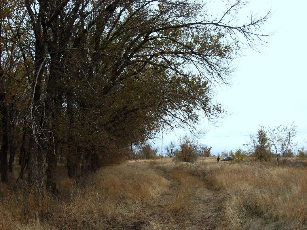 �������� �� �����... ����� Natali  ��������� �� PhotoGeek.ru #������ ��� ������� #�������� ���������� #����� ��������������