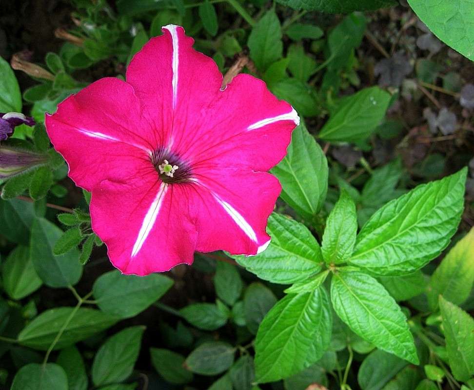 ... ����� Natali  ��������� �� PhotoGeek.ru #������ ��� ������� #����� ��������������