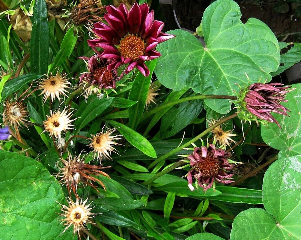 ... ����� Natali  ��������� �� PhotoGeek.ru #������ ��� ������� #����� ��������������