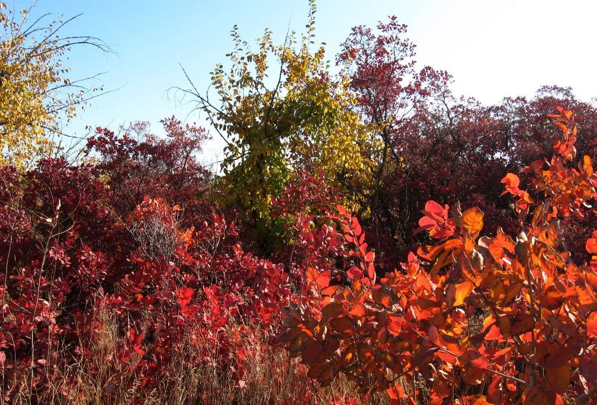 ... ����� Natali  ��������� �� PhotoGeek.ru #������ ��� ������� #����� ��������������