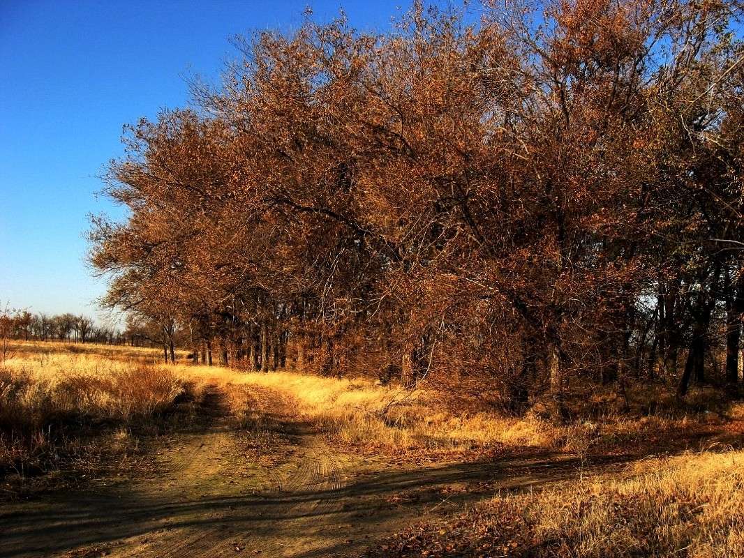 ... ����� Natali  ��������� �� PhotoGeek.ru #������ ��� ������� #����� ��������������