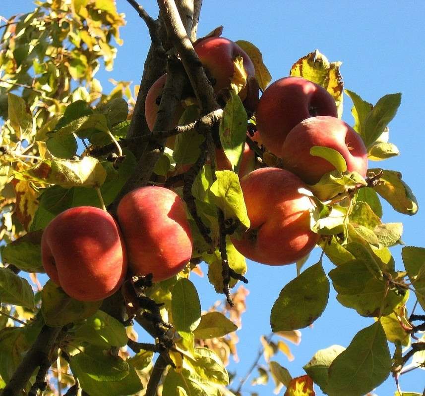 ... ����� Natali  ��������� �� PhotoGeek.ru #������ ��� ������� #����� ��������������