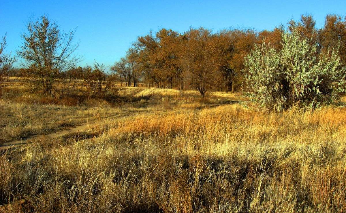 ... ����� Natali  ��������� �� PhotoGeek.ru #������ ��� ������� #����� ��������������