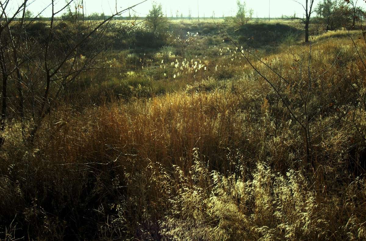 ... ����� Natali  ��������� �� PhotoGeek.ru #������ ��� ������� #����� ��������������