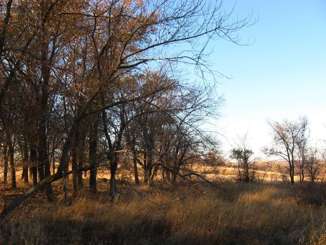 ... ����� Natali  ��������� �� PhotoGeek.ru #������ ��� ������� #����� ��������������