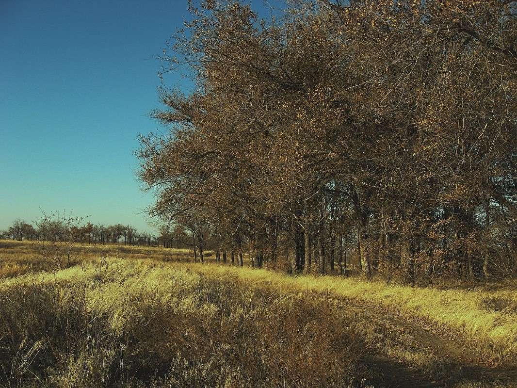 ))) ����� Natali  ��������� �� PhotoGeek.ru #������ ��� ������� #����� ��������������