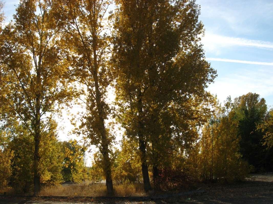 ������� ���� ����� Natali  ��������� �� PhotoGeek.ru #������ ��� ������� #����� ��������������