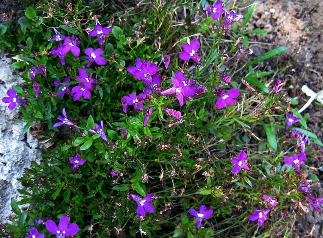 ������... ����� Natali  ��������� �� PhotoGeek.ru #������ ��� ������� #����� ��������������