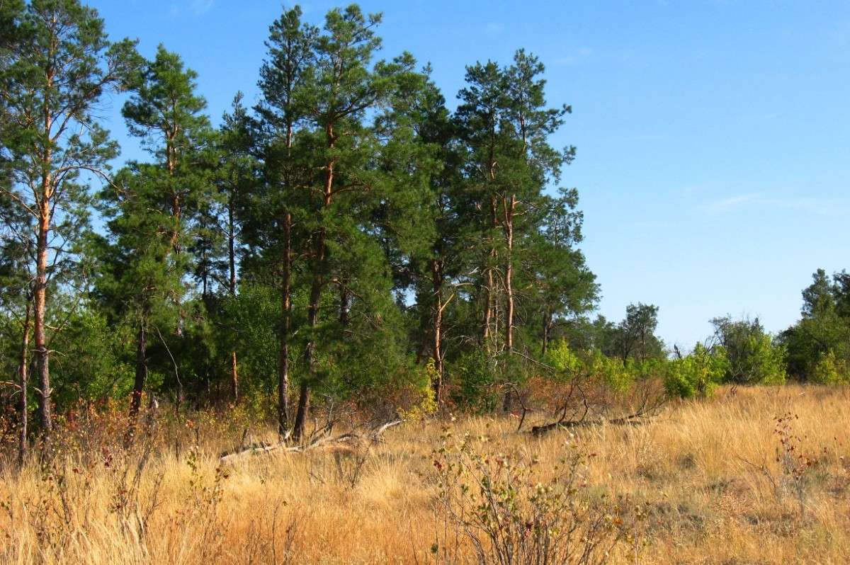 �� ����� �������...) ����� Natali  ��������� �� PhotoGeek.ru #������ ��� ������� #����� ��������������