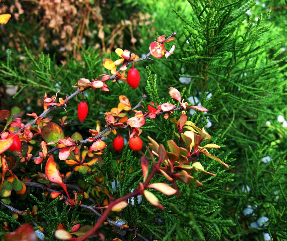 ... ����� Natali  ��������� �� PhotoGeek.ru #������ ��� ������� #����� ��������������