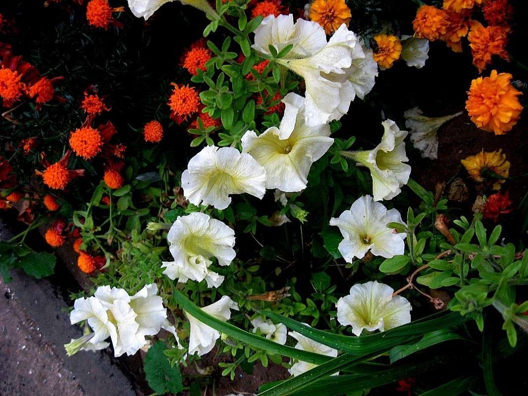 ����� ����� ����� Natali  ��������� �� PhotoGeek.ru #������ ��� ������� #����� ��������������