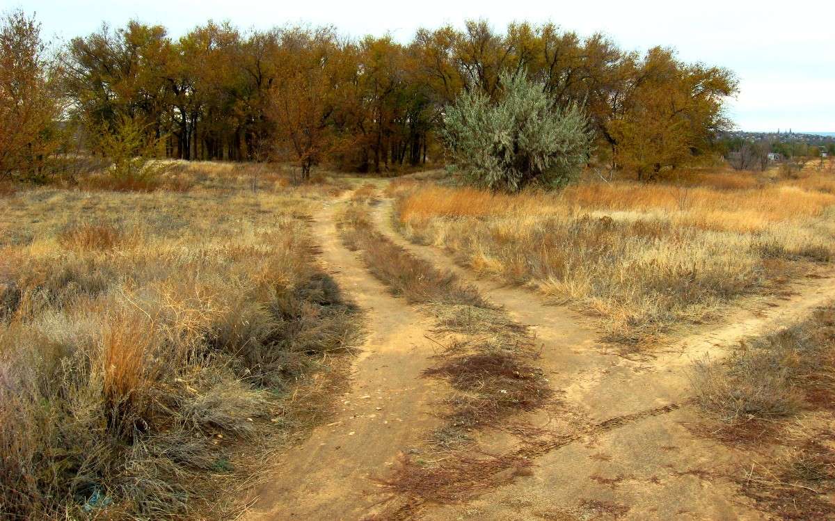 ... ����� Natali  ��������� �� PhotoGeek.ru #������ ��� ������� #����� ��������������