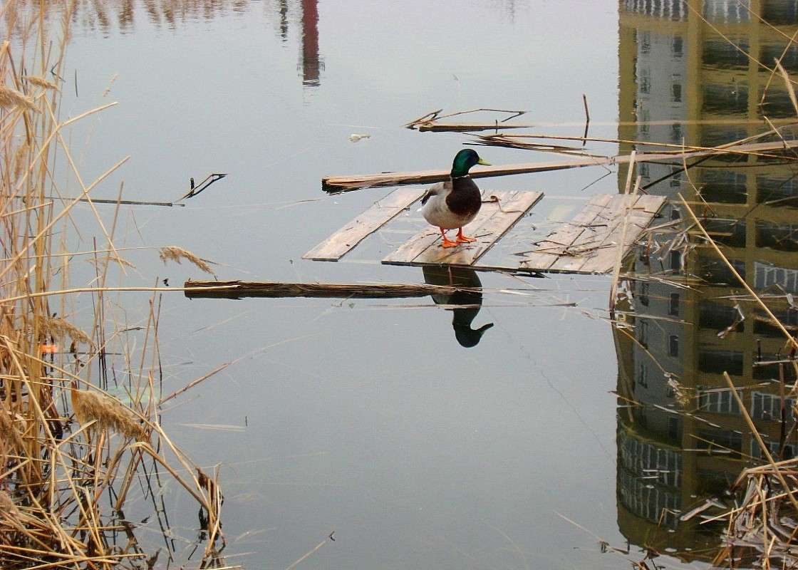 ������� ��� �������...) ����� Natali  ��������� �� PhotoGeek.ru #����� #�������� ��� #������ ��� ������� #��������� ������ #����� ��� ��� ��������� #����� ��������������