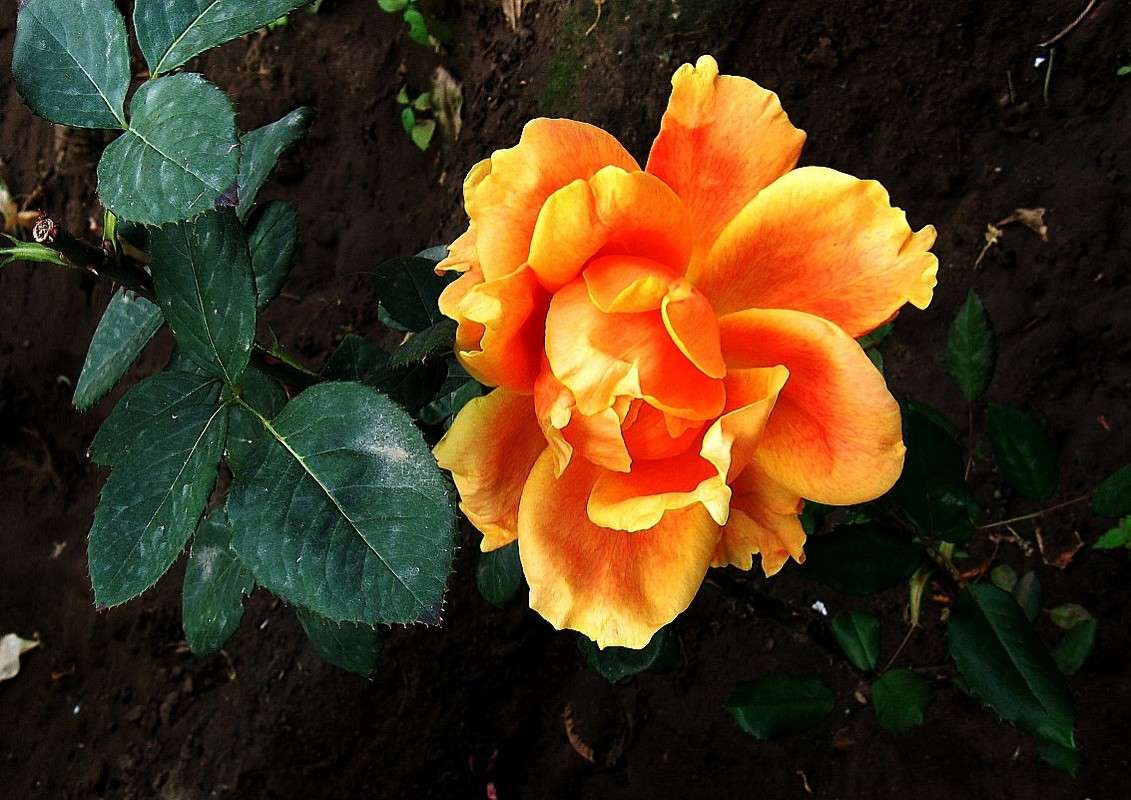 ... ����� Natali  ��������� �� PhotoGeek.ru #������ ��� ������� #����� ��������������