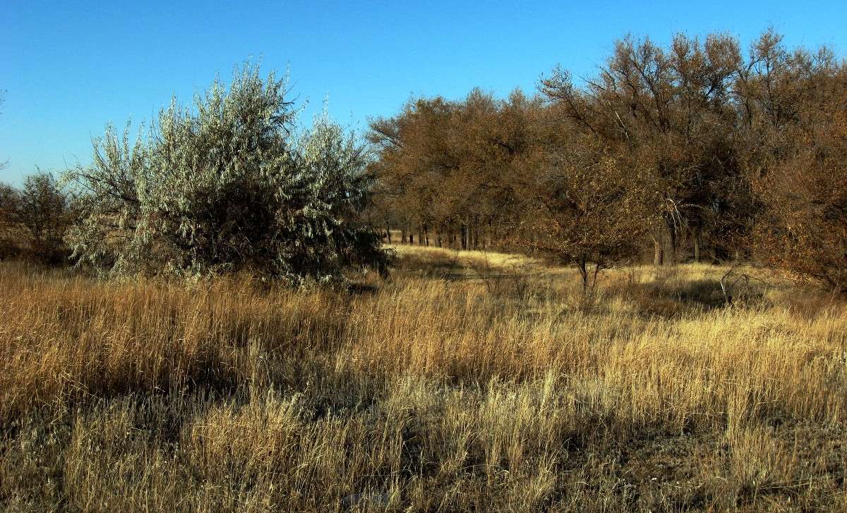 ... ����� Natali  ��������� �� PhotoGeek.ru #������ ��� ������� #����� ��������������