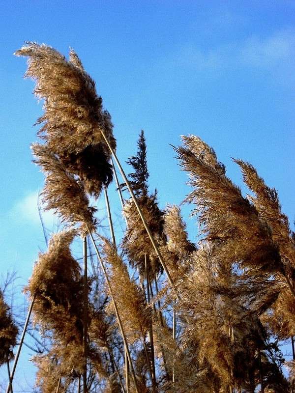 ����� � ������� ))) ����� Natali  ��������� �� PhotoGeek.ru #������ ��� ������� #����� ��������������