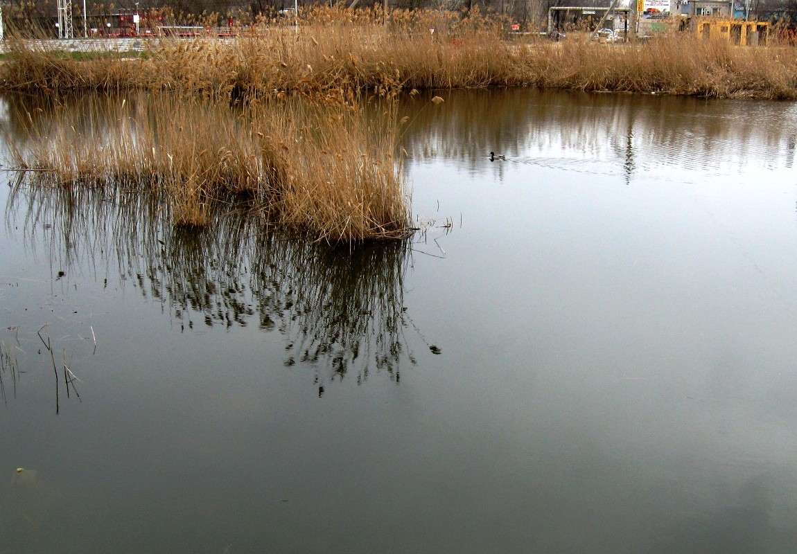 ������ ����� ���������...) ����� Natali  ��������� �� PhotoGeek.ru #����� #������ ��� ������� #����� ��������������