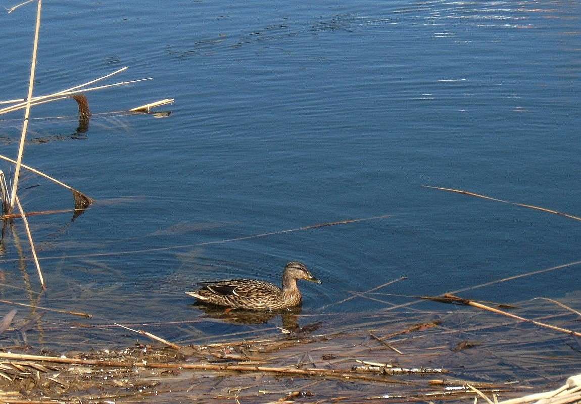 ... ����� Natali  ��������� �� PhotoGeek.ru #����� #�������� ��� #������ ��� ������� #����� ��� ��� ��������� #����� �������������� #����� ��������