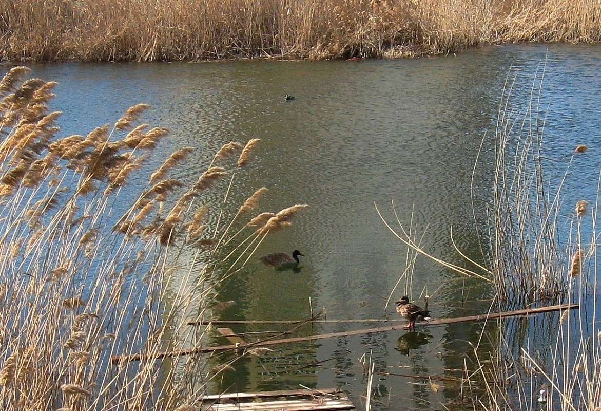 ������ ������ ��������...2 ����� Natali  ��������� �� PhotoGeek.ru #����� #�������� ��� #������ ��� ������� #����� ��� ��� ��������� #����� �������������� #����� ��������