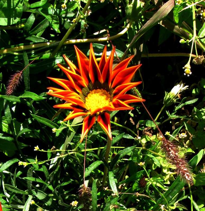 ��� ����� �������... ) ����� Natali  ��������� �� PhotoGeek.ru #������ ��� ������� #����� ��������������