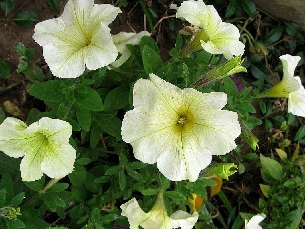 ������� ����� Natali  ��������� �� PhotoGeek.ru #������ ��� ������� #����� ��������������