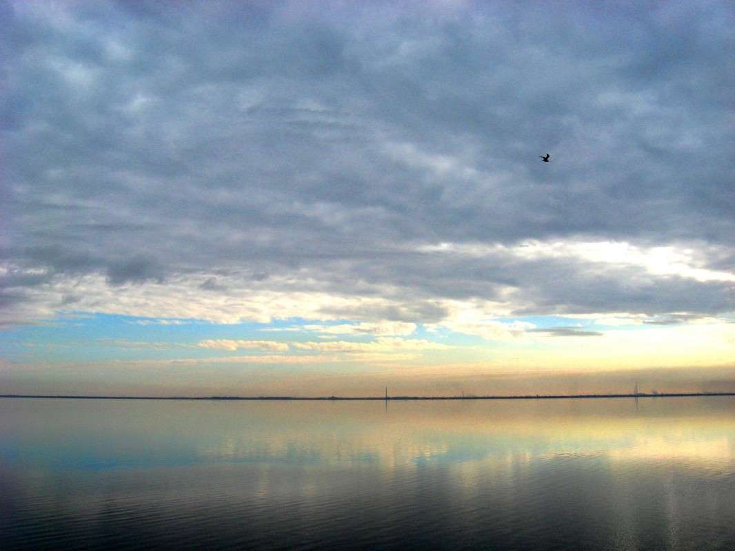 ������� ���� � ���� ����������... ����� Natali  ��������� �� PhotoGeek.ru #������ ��� �������