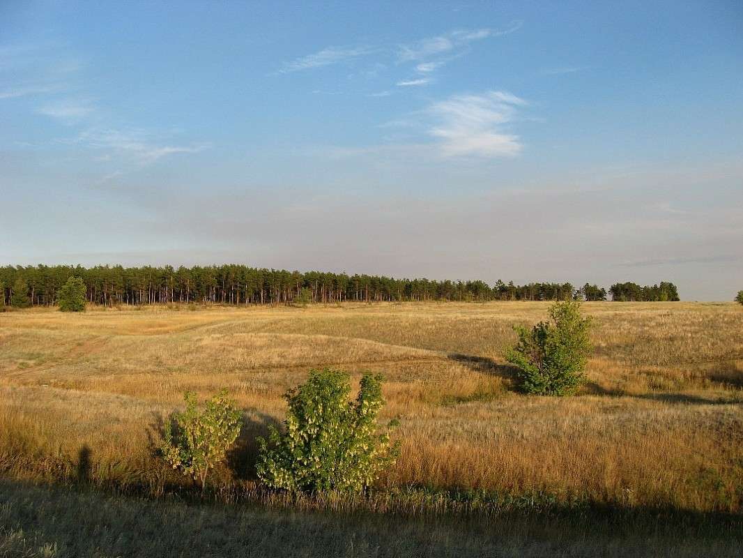 ... ����� Natali  ��������� �� PhotoGeek.ru #������ ��� ������� #����� ��������������