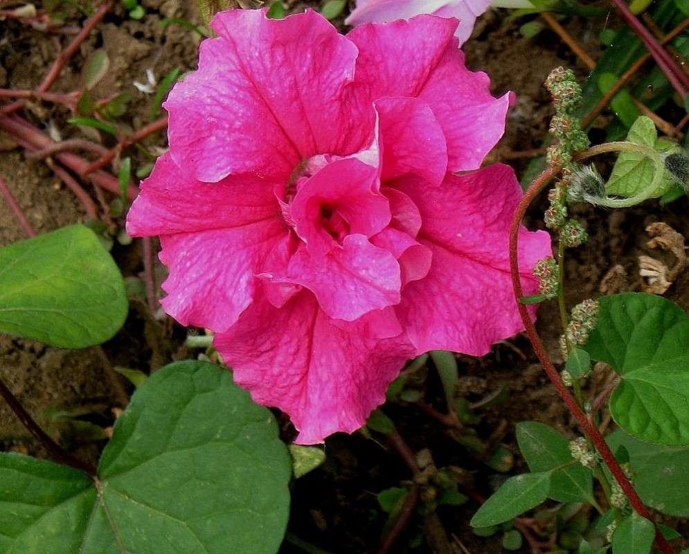 ... ����� Natali  ��������� �� PhotoGeek.ru #������ ��� ������� #����� ��������������