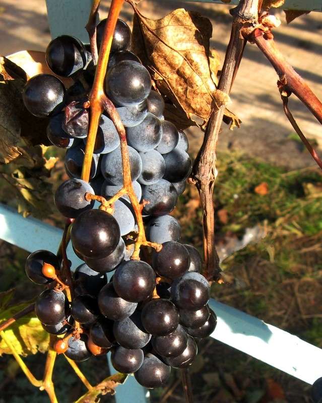 ... ����� Natali  ��������� �� PhotoGeek.ru #������ ��� ������� #����� ��������������