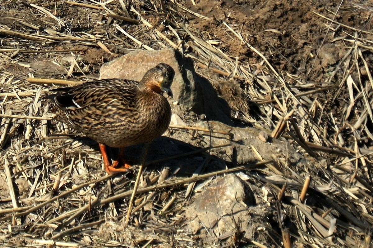 � � ��� ����� ���...) ����� Natali  ��������� �� PhotoGeek.ru #�������� ��� #����� ��� ��� ���������