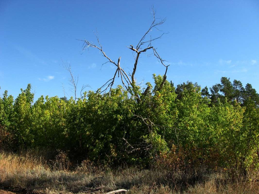 ������ � ����... ����� Natali  ��������� �� PhotoGeek.ru #������ ��� ������� #����� ��������������