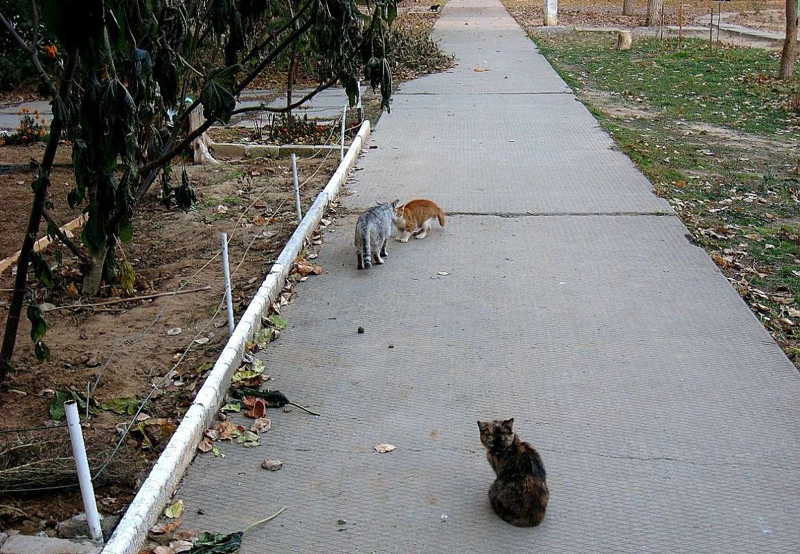 ������ ����...4 ����� Natali  ��������� �� PhotoGeek.ru #����� #�������� ��� #�������� ��� #����� ��������