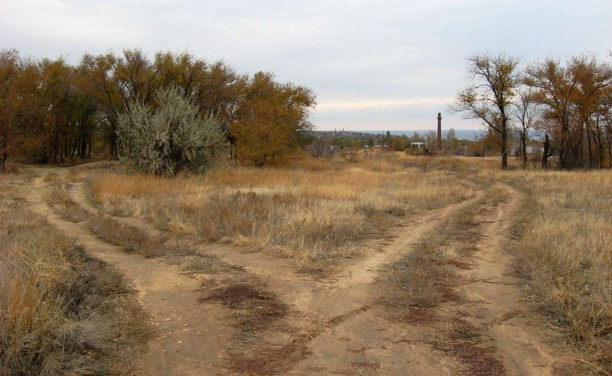 ��� ������, ��� ����...) ����� Natali  ��������� �� PhotoGeek.ru #������ ��� �������