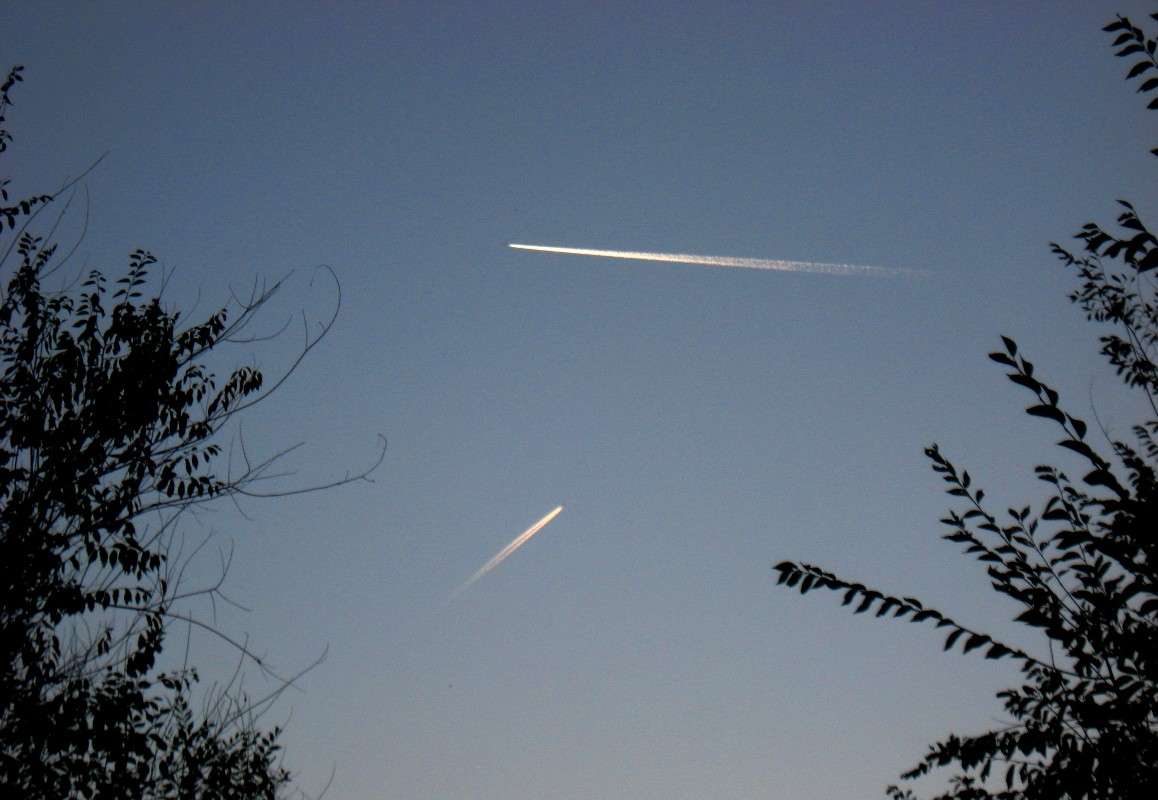 ... ����� Natali  ��������� �� PhotoGeek.ru #������ ��� ������� #����� ��������