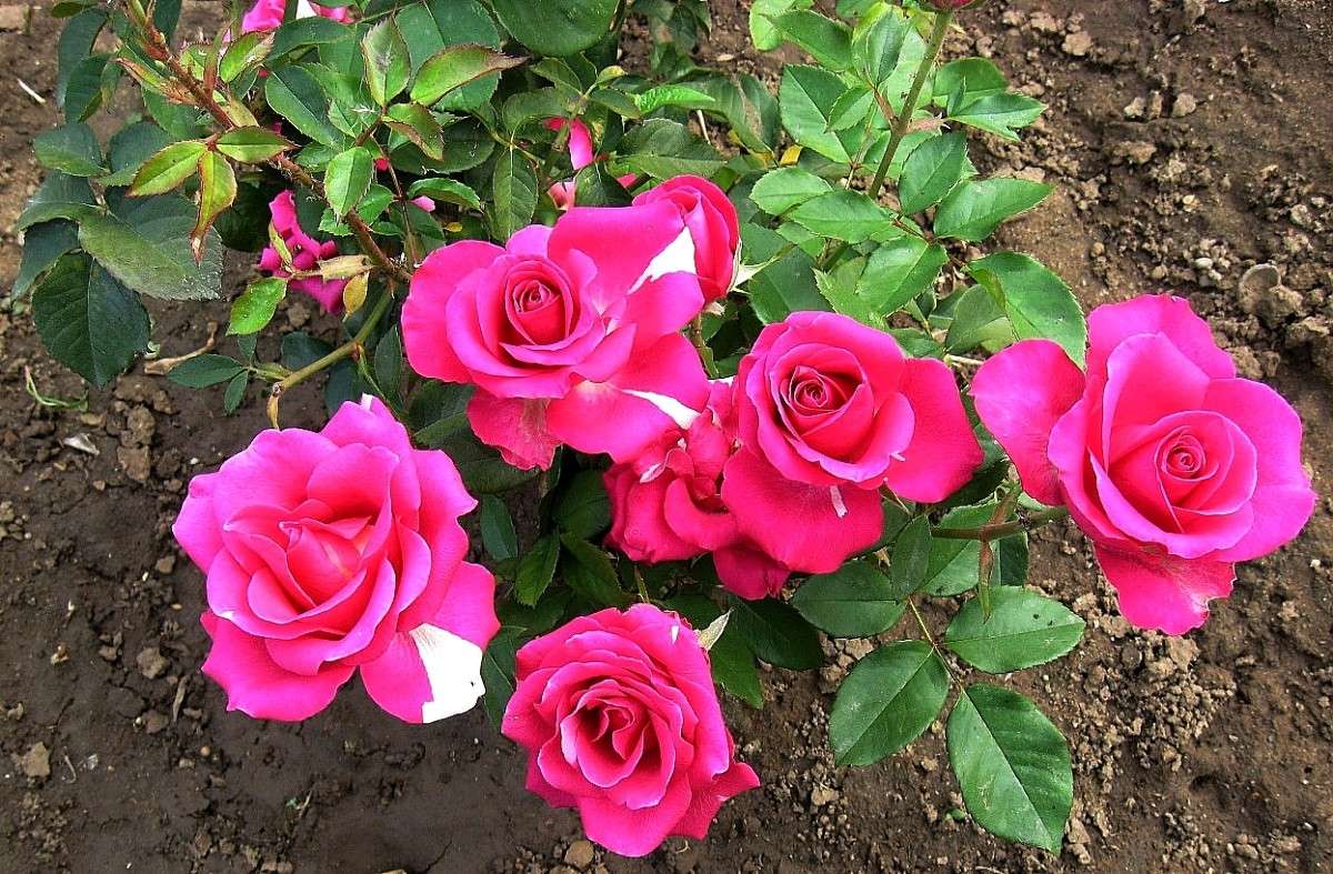 ... ����� Natali  ��������� �� PhotoGeek.ru #������ ��� ������� #����� ��������������