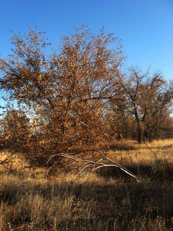 ��� ������� ������� ����� Natali  ��������� �� PhotoGeek.ru #������ ��� ������� #����� ��������������