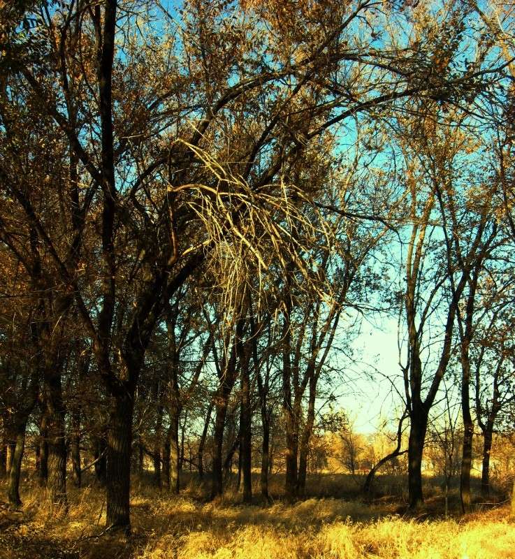 �������. ����� �����... ) ����� Natali  ��������� �� PhotoGeek.ru #����� #������ ��� ������� #����� �������������� #����� ��������