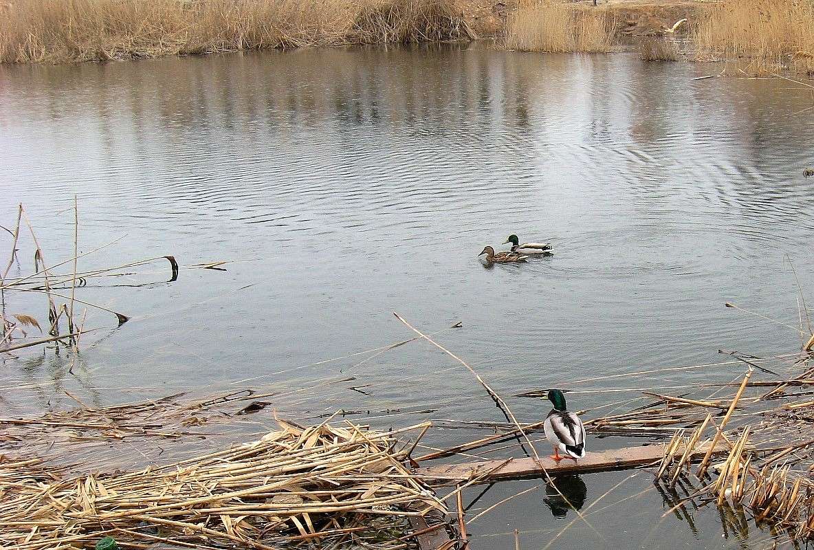 ��� ����� � ��� ��������...) ����� Natali  ��������� �� PhotoGeek.ru #����� #�������� ��� #������ ��� ������� #����� ��� ��� ��������� #����� ��������