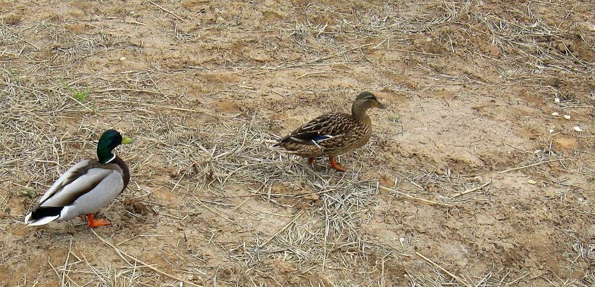 ���-�� ������ ��������.... ) ����� Natali  ��������� �� PhotoGeek.ru #����� #�������� ��� #����� ��� ��� ��������� #����� ��������